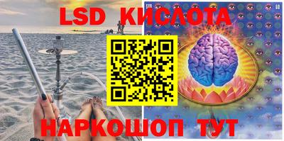 эйфоретик Малгобек